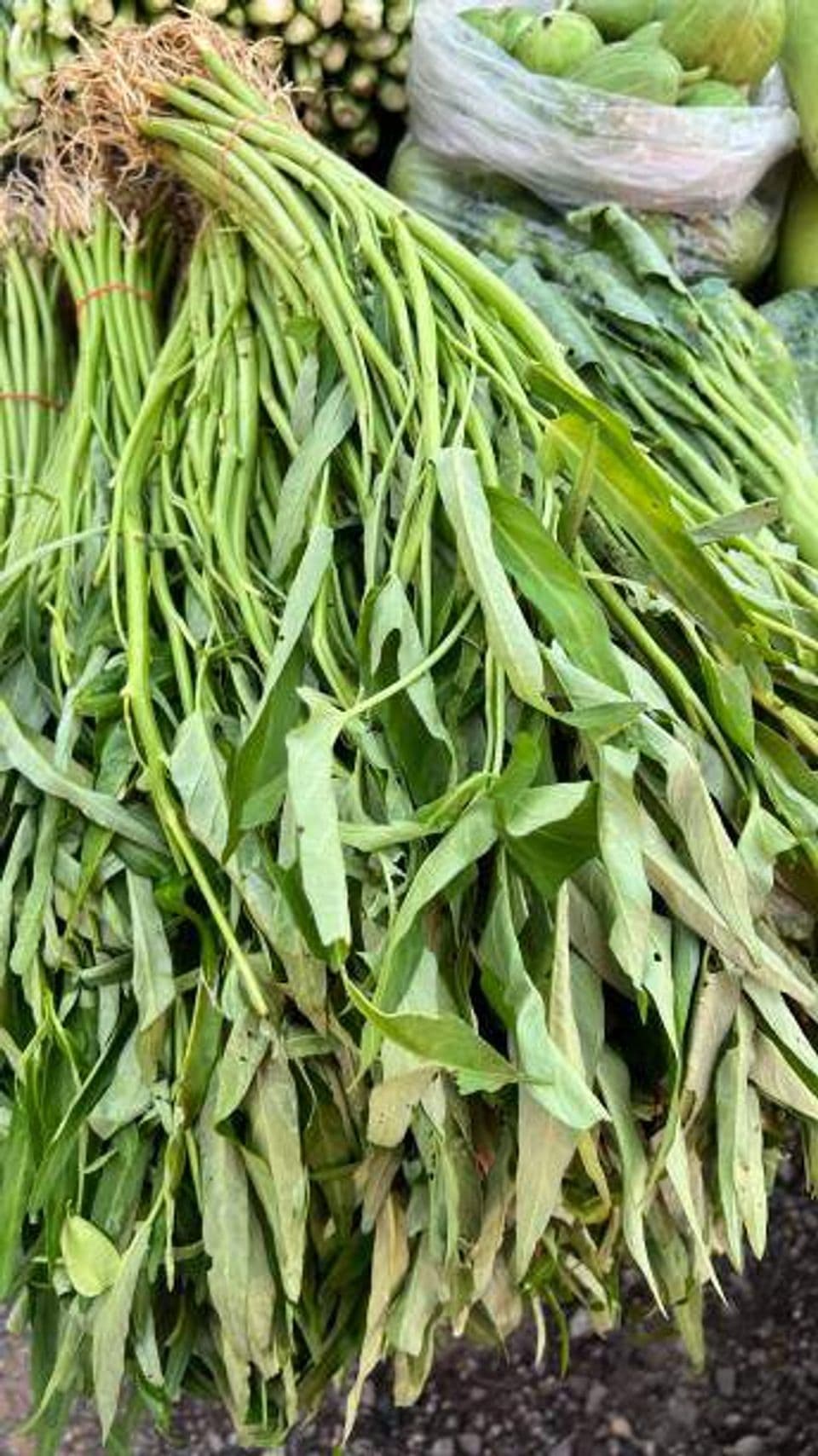 5 Tips Mencuci Kangkung agar Bersih dan Aman Dikonsumsi