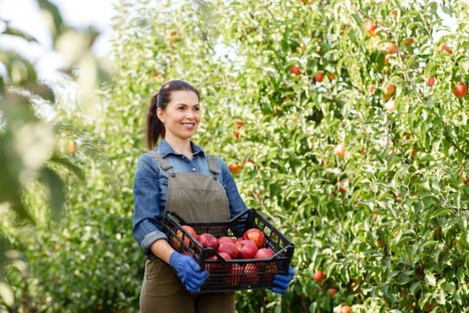 Tips Membuat Industri Pangan Lebih Ramah Lingkungan