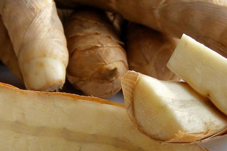 Kandungan Gizi & Khasiat Pada Umbi Garut Yang Kaya Manfaat, Begini Cara Pengolahannya